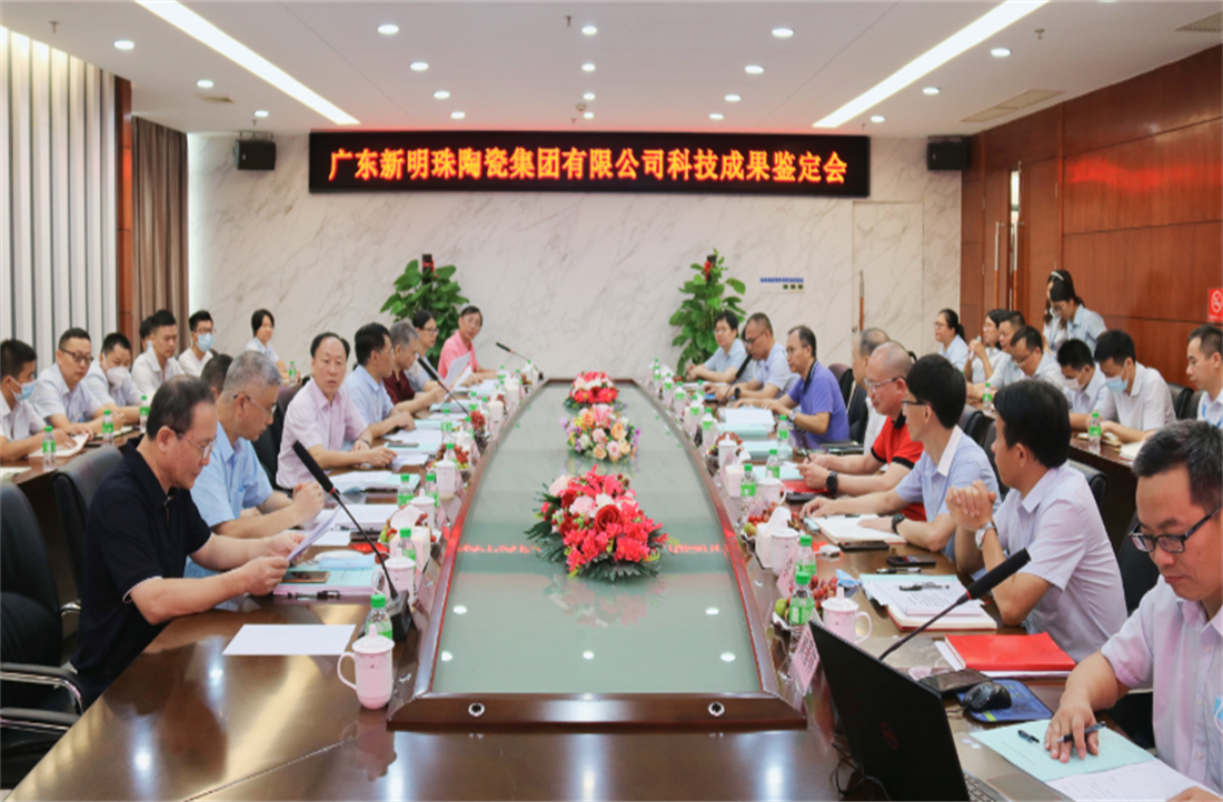 一項“國際領先”，兩項“國際先進”！新明珠3項科技成果成功通過審議